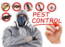 Pest and Rodent Control