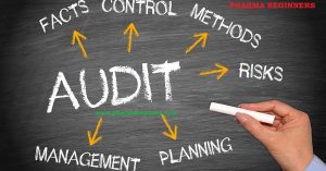 Regulatory Audit Guideline