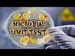 Microbial Limit Test